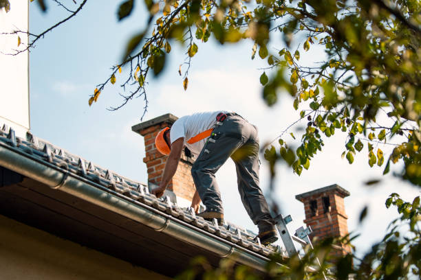 Best Affordable Roofing Company  in West Salem, WI